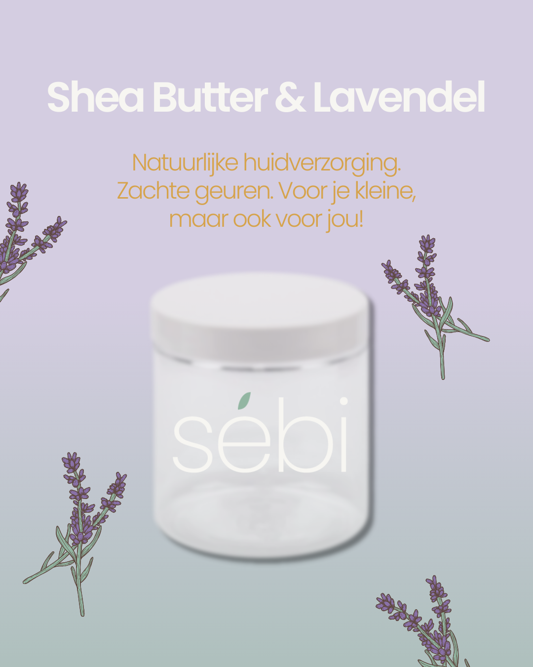 Sébi Shea Butter lavendel *** PRE-SALE *** (levering vanaf 1 oktober)